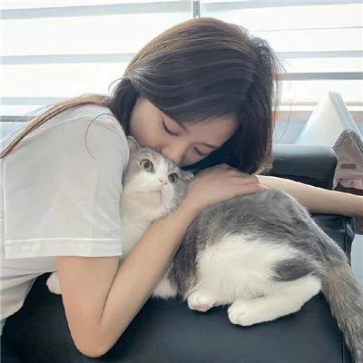 银马不会来